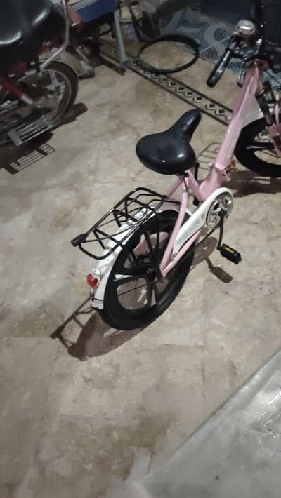 pegion compny 20inch