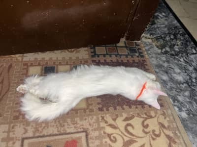 For sale
