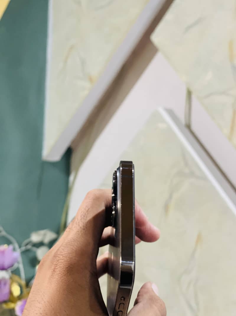 Apple iPhone 13 Pro Max 2