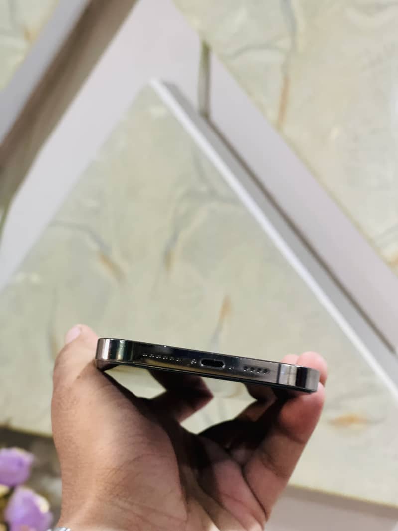Apple iPhone 13 Pro Max 4
