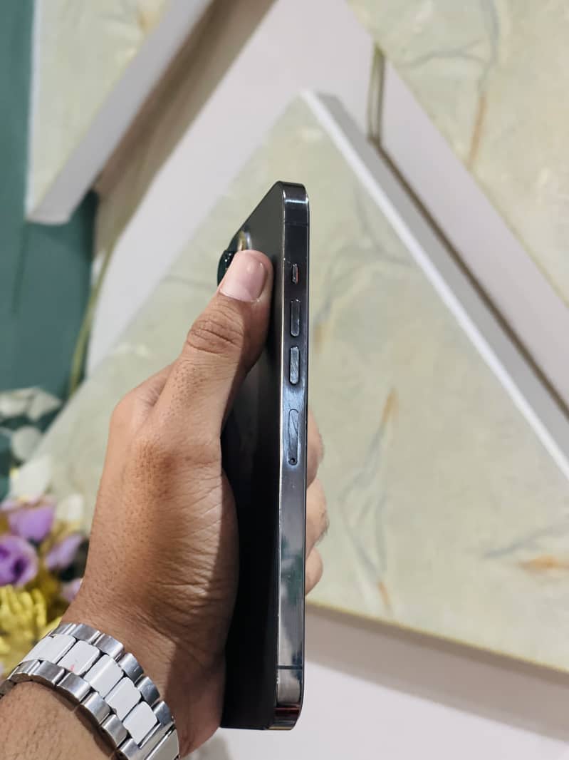 Apple iPhone 13 Pro Max 8