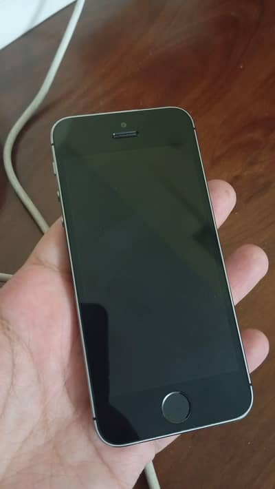Apple iPhone 5s