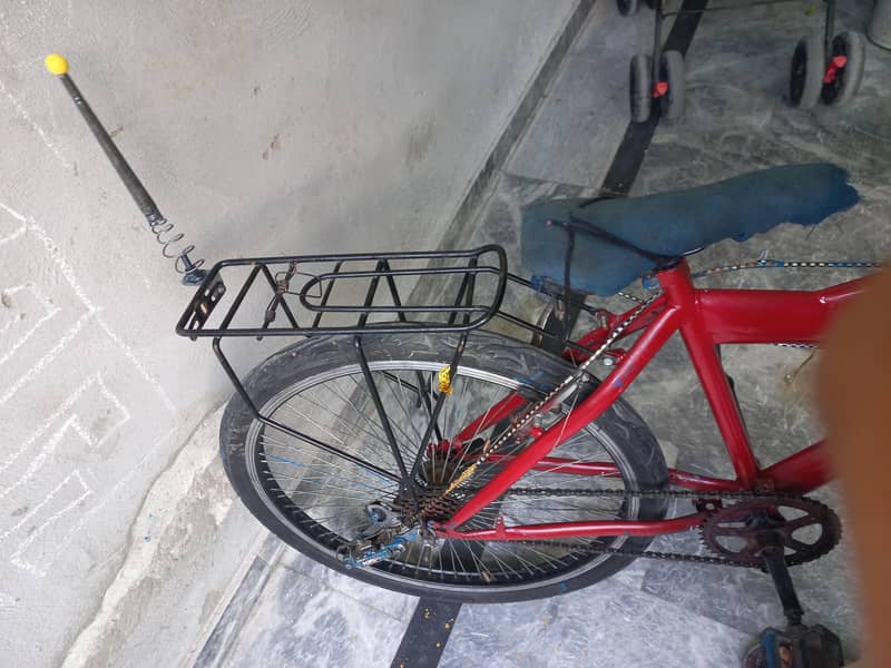 cycle 0