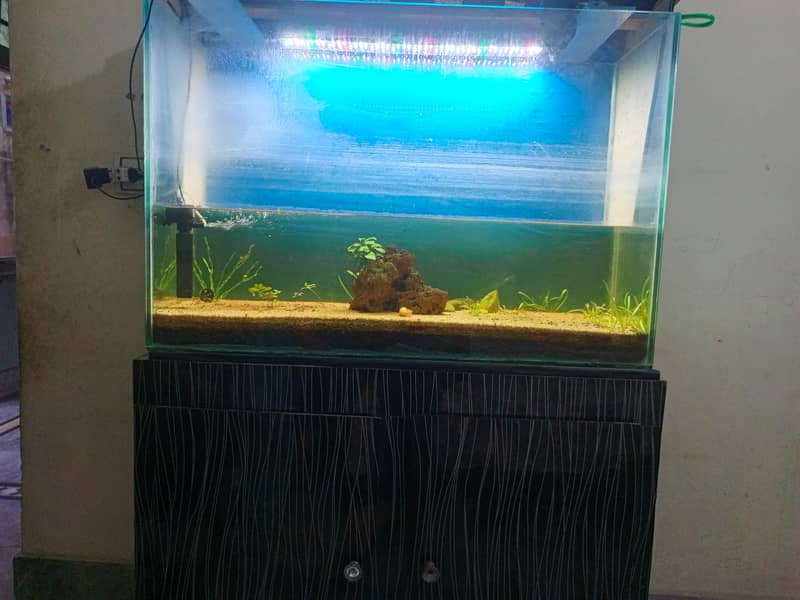 AQUARIUM 0
