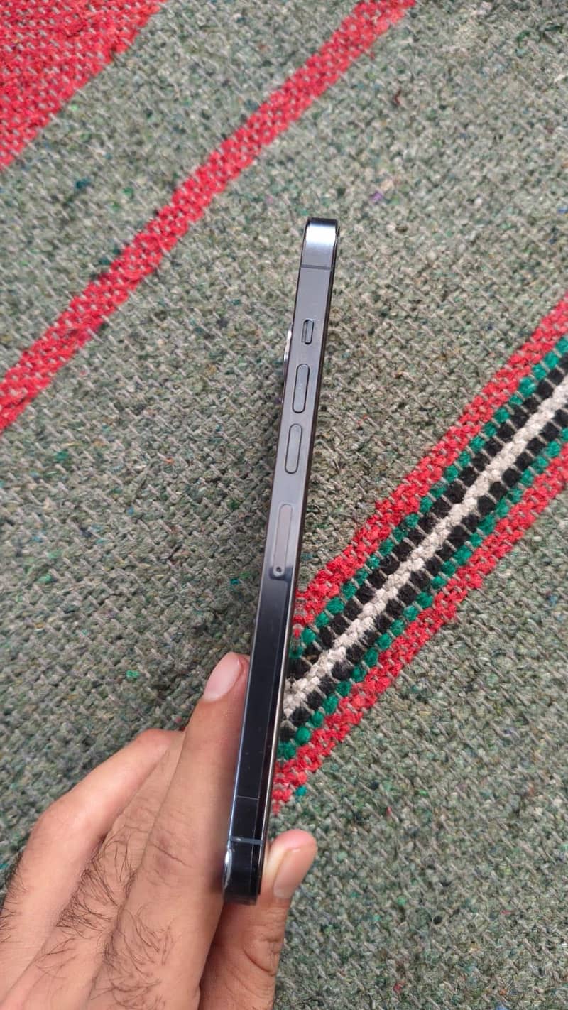 Apple iPhone 13 Pro Max 1