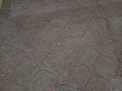 carpet in good condition