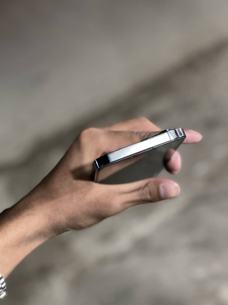 Apple iPhone 13 Pro Max 1