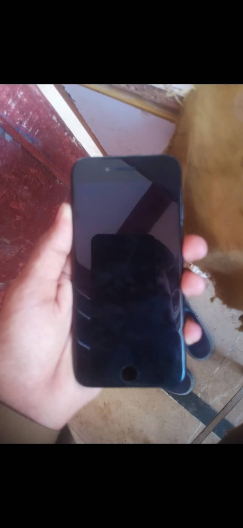 Apple iPhone 7 1