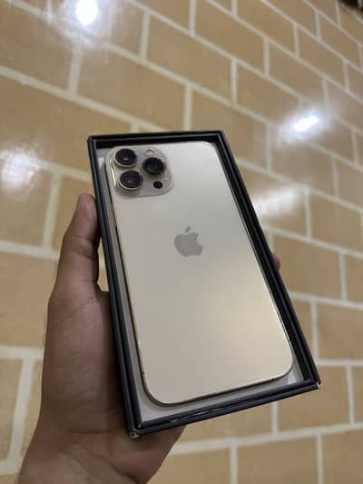 Apple iPhone 13 Pro Max Fu