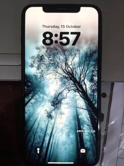 Apple iPhone XS Max