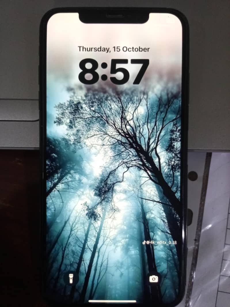 Apple iPhone XS Max 0