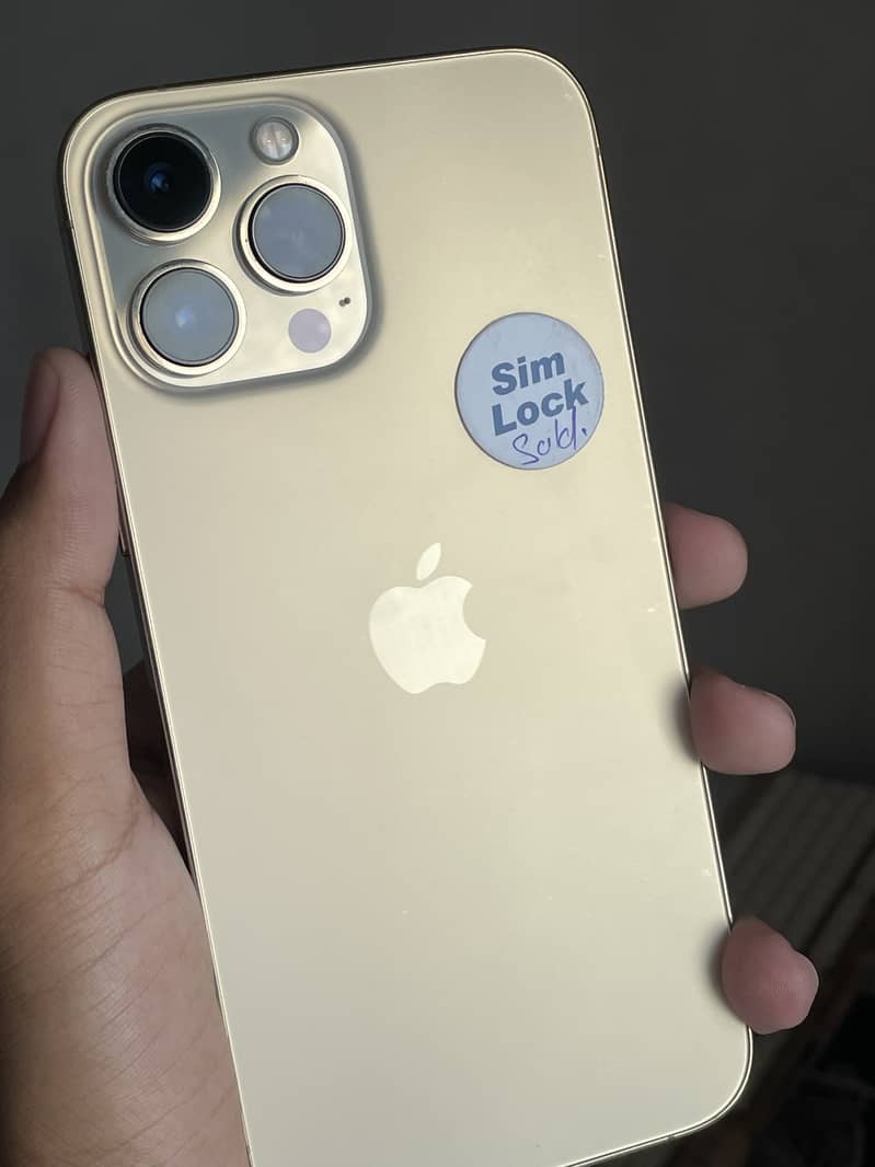 Apple iPhone 13 Pro Max 0