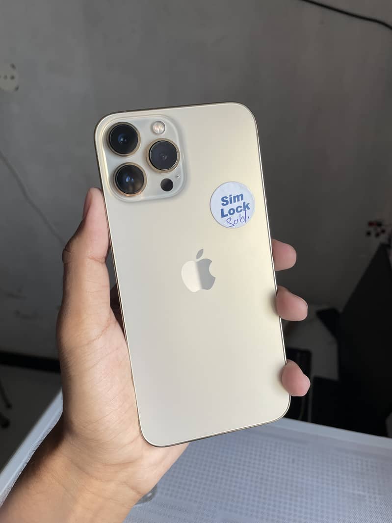 Apple iPhone 13 Pro Max 1