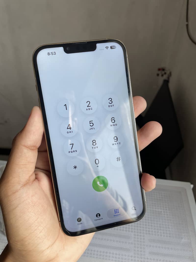 Apple iPhone 13 Pro Max 2