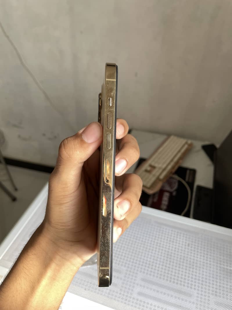Apple iPhone 13 Pro Max 4