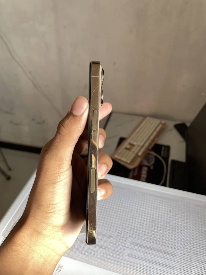 Apple iPhone 13 Pro Max 5