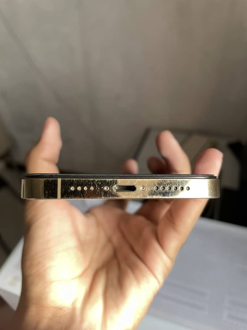 Apple iPhone 13 Pro Max 7