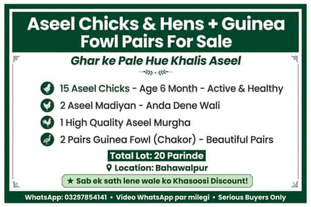 Aseel setup for sell