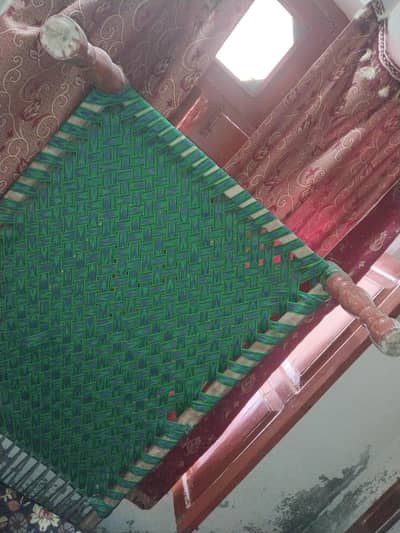 Carpai for sale in cheap price