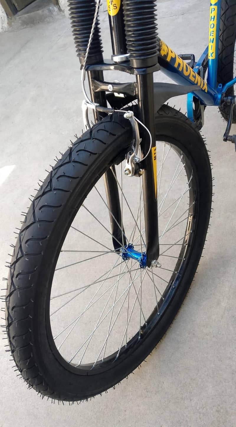 PHOENIX CYCLE 24" 1