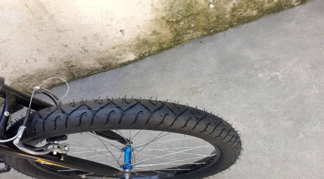 PHOENIX CYCLE 24" 3