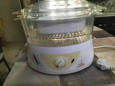 food steamer