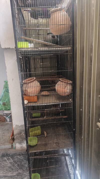 cage 8 portion hai heavy metal main bna hai