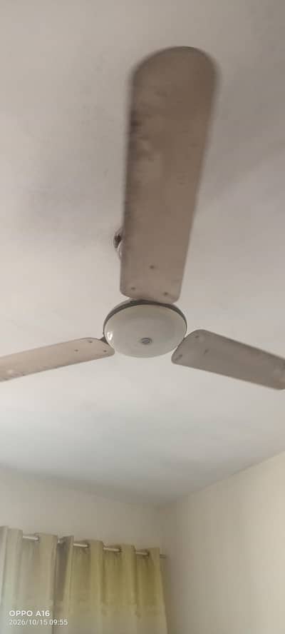 ceiling fan