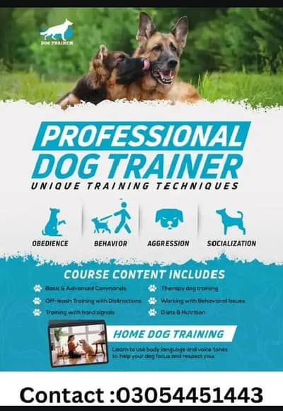 dog trainer