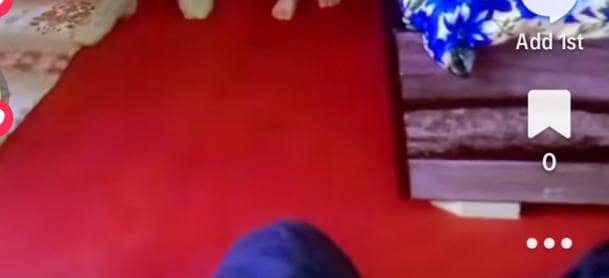 Carpet