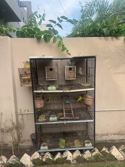 6 Portion of cage