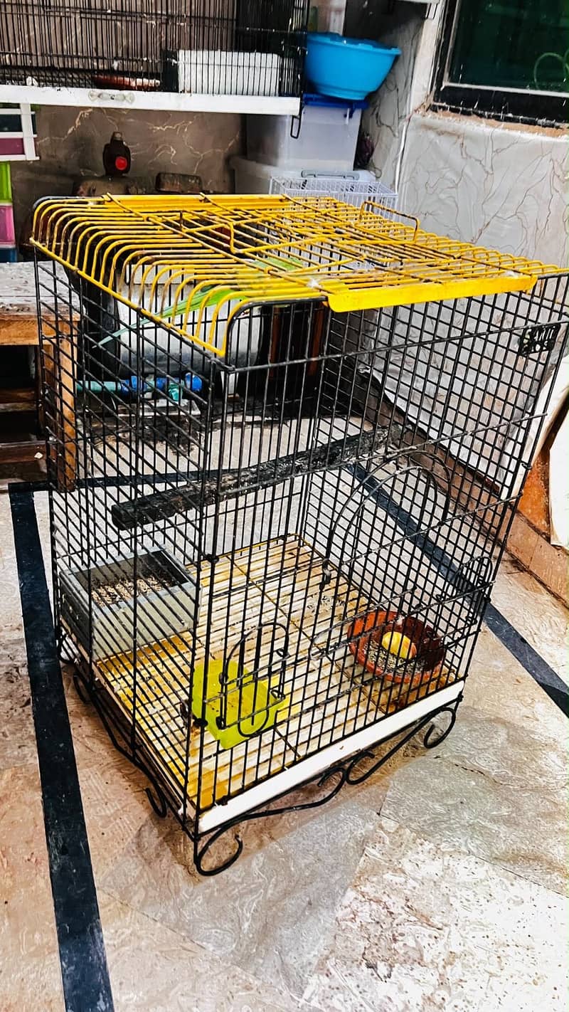 Fency cage 1