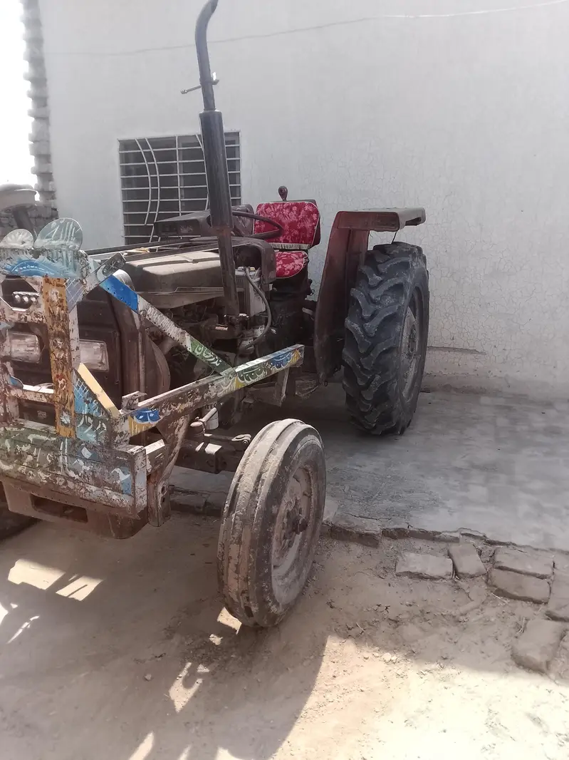 تین عدد گاۓ فارسیل دودھ والی — photo 2