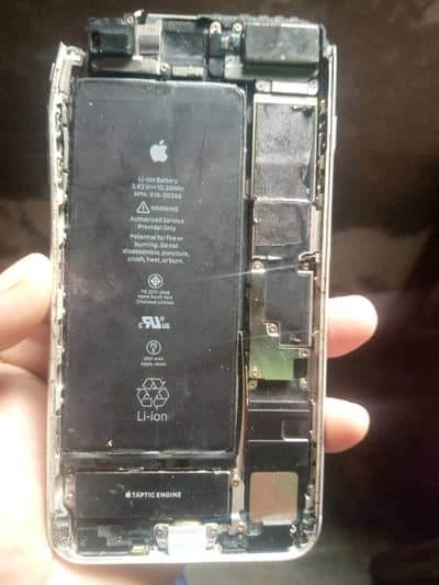 Apple iPhone 8 Plus