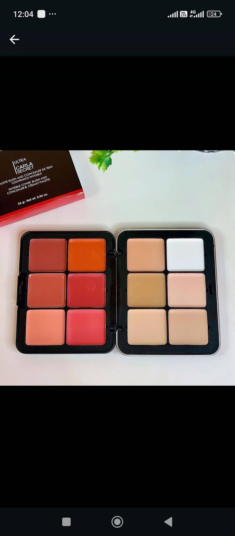 blush palette 2