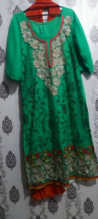 net embroidery dress