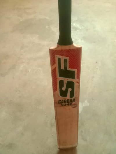 Hard ball bat