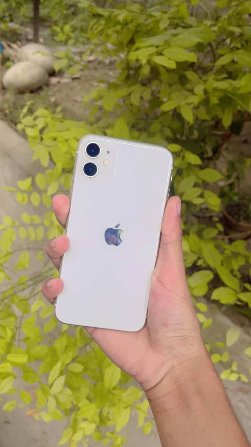 Apple iPhone 11 0