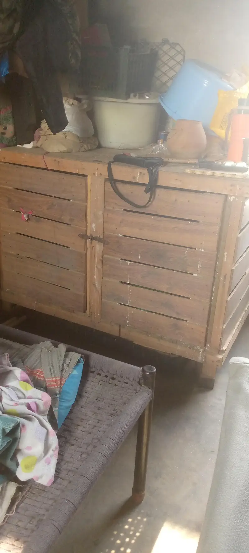 I'm selling cocktails chicks that is best for handfeeding — photo 2