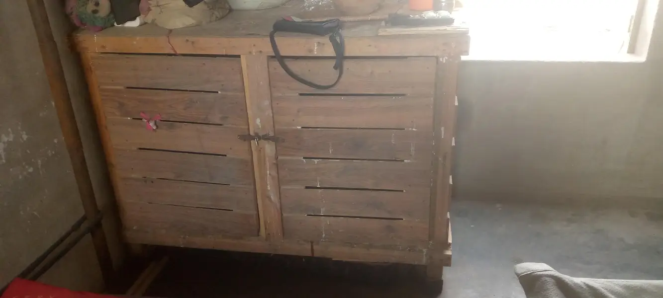 I'm selling cocktails chicks that is best for handfeeding — photo 8