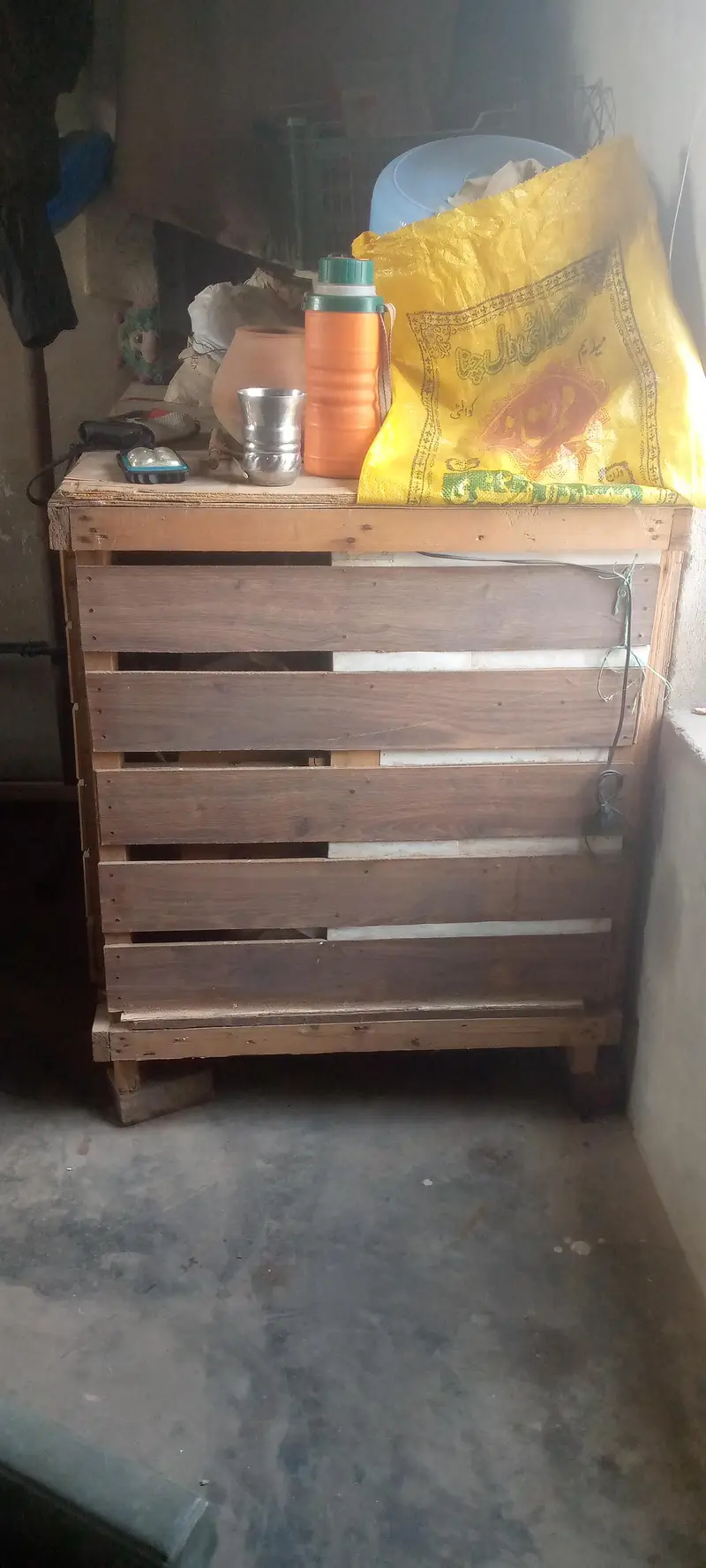 I'm selling cocktails chicks that is best for handfeeding — photo 10