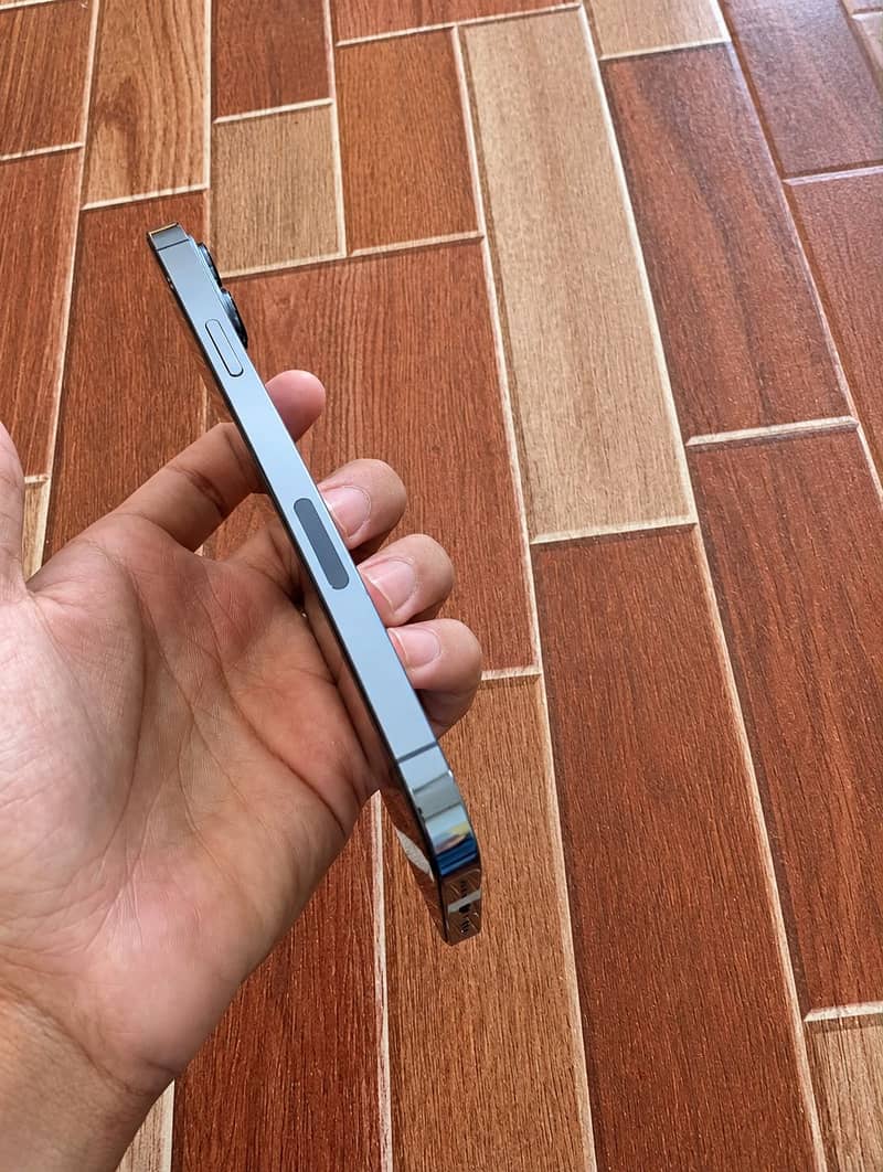 Apple iPhone 13 Pro Max 0