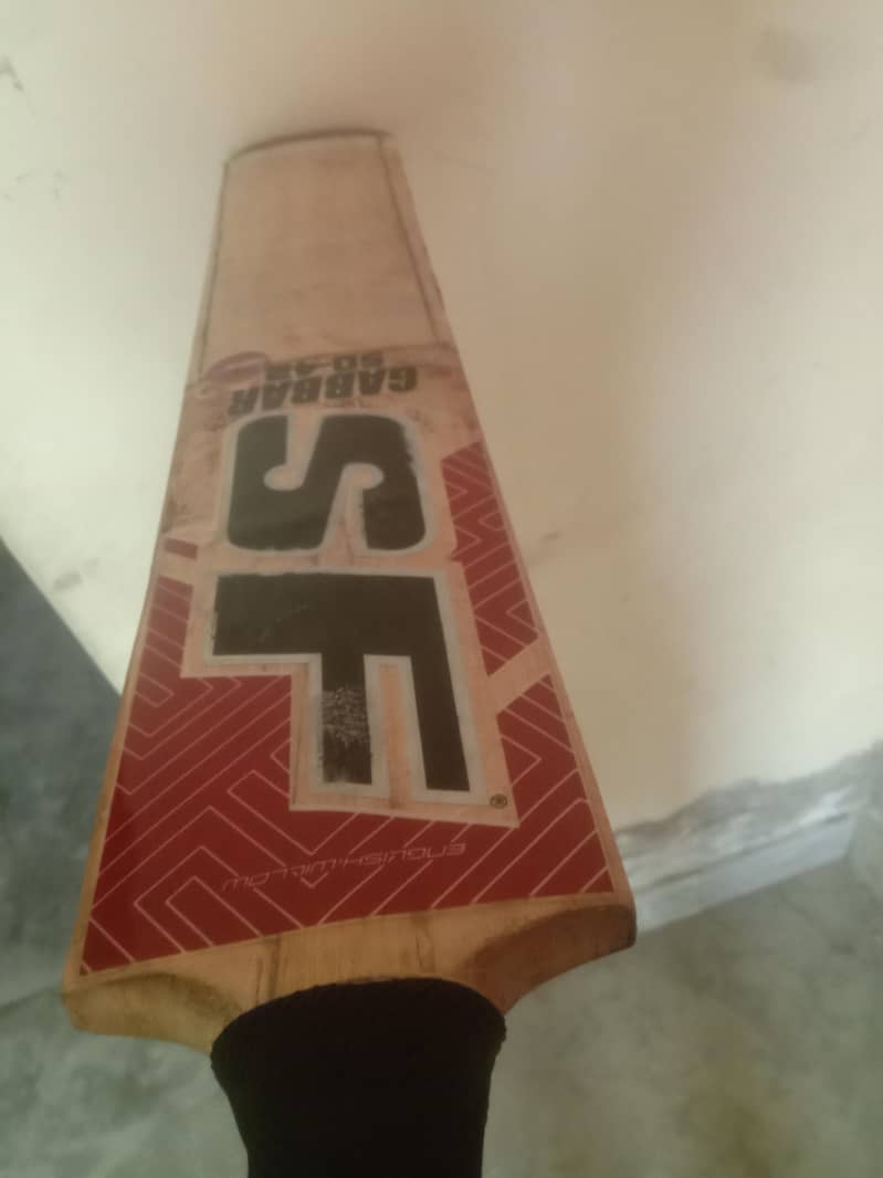 Hard ball bat 1