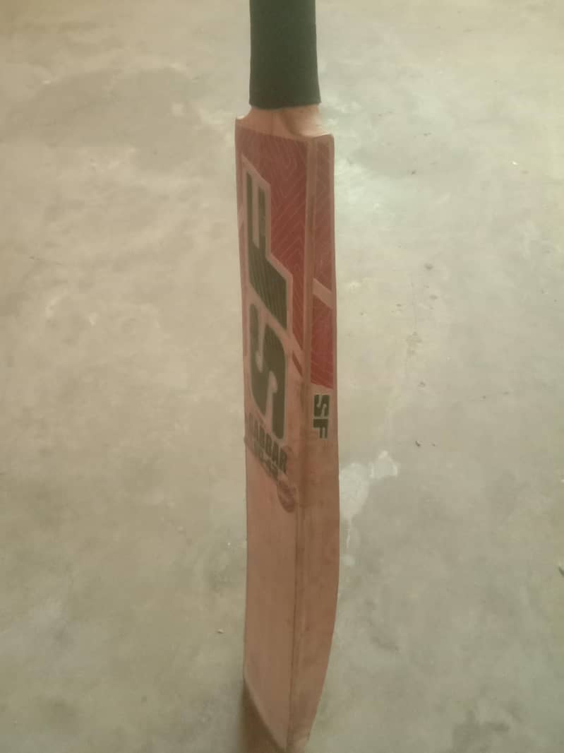 Hard ball bat 2