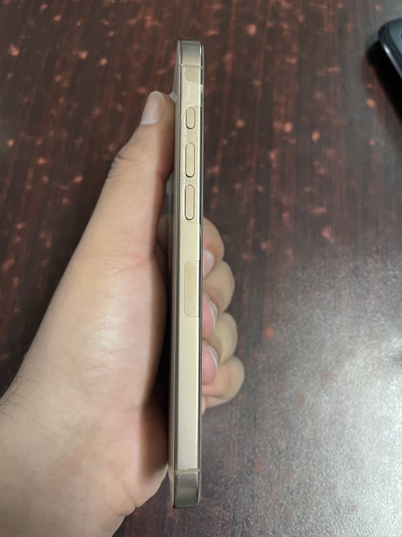 Apple iPhone 16 Pro Max 3