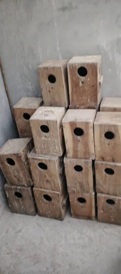 Love Birds Breeding Boxes