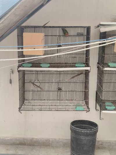 MasterCage Foldable Cage