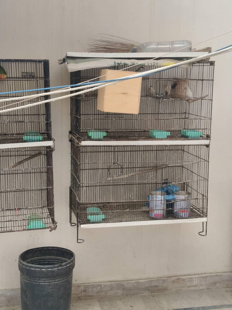 MasterCage Foldable Cage 1