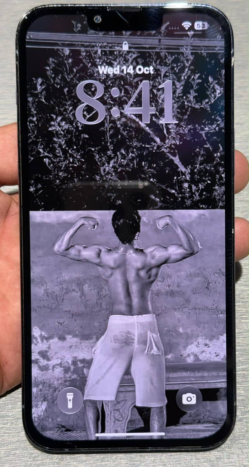 Apple iPhone 13 Pro Max 1