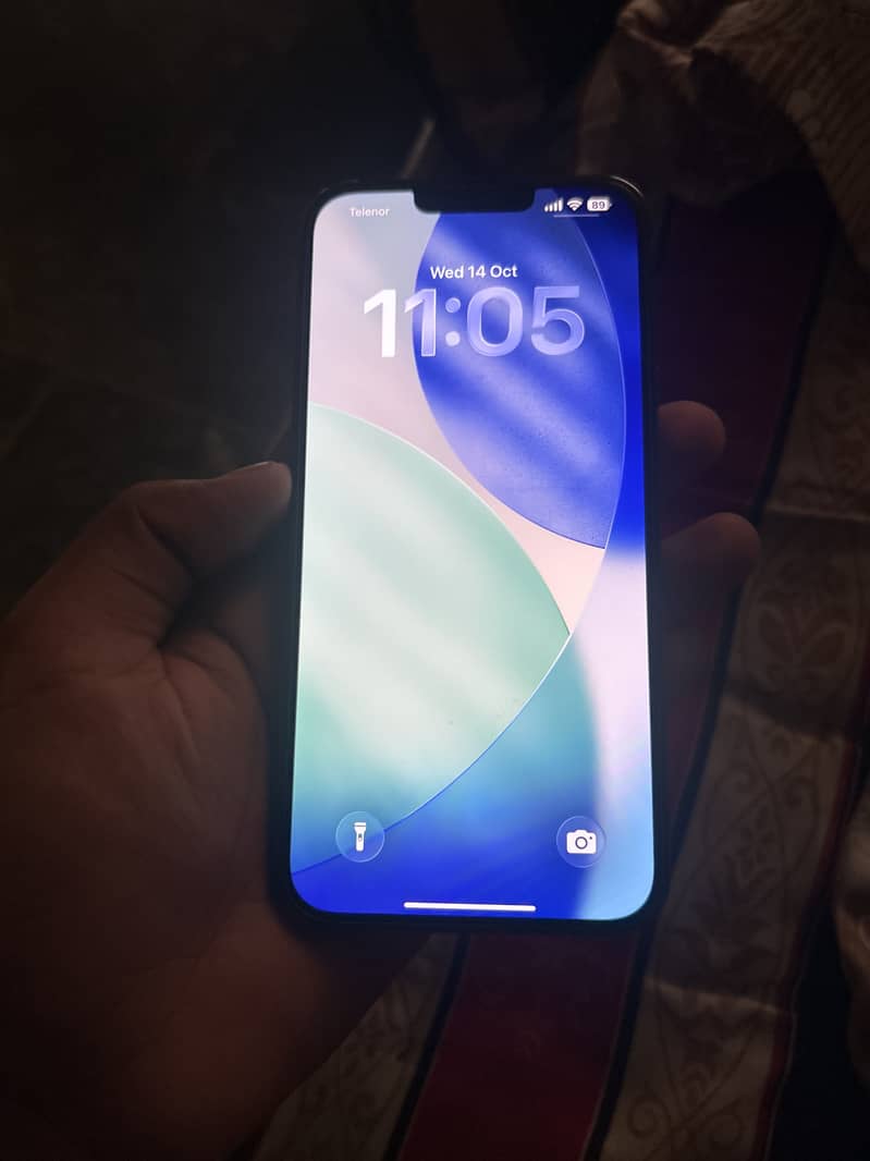 Apple iPhone 13 Pro Max 1
